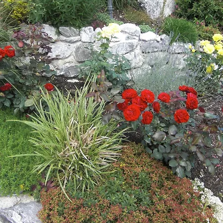 شقة Am Rosengarten *
